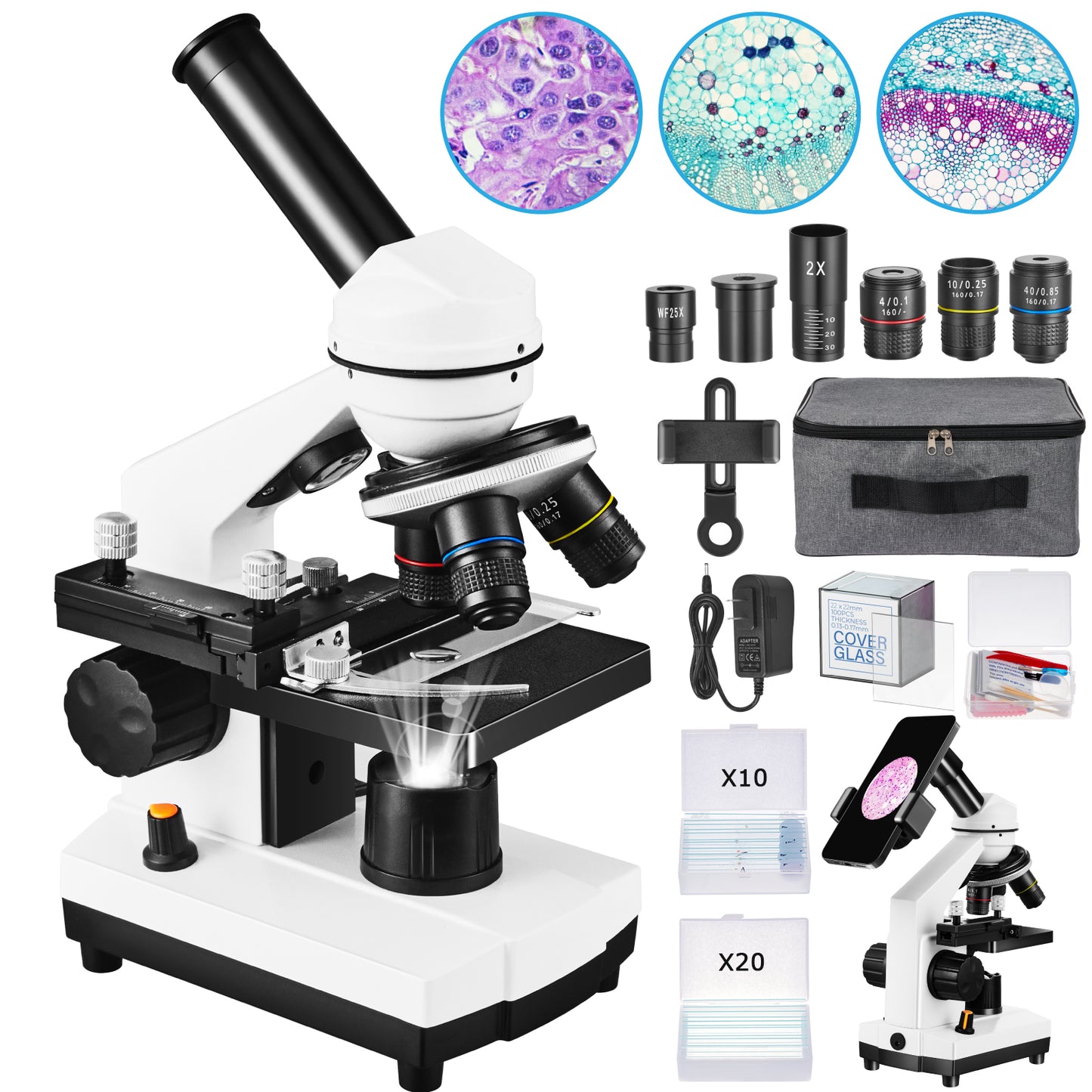 Fitense 40X-2000X Monocular Microscope Kit, Dual LED Light Microscope for Kids, 5 Colors Filter Wheel, Phone Holder, Specimen Slides, Storage Bag, Cord Powered & Battery Powered (Not Included)